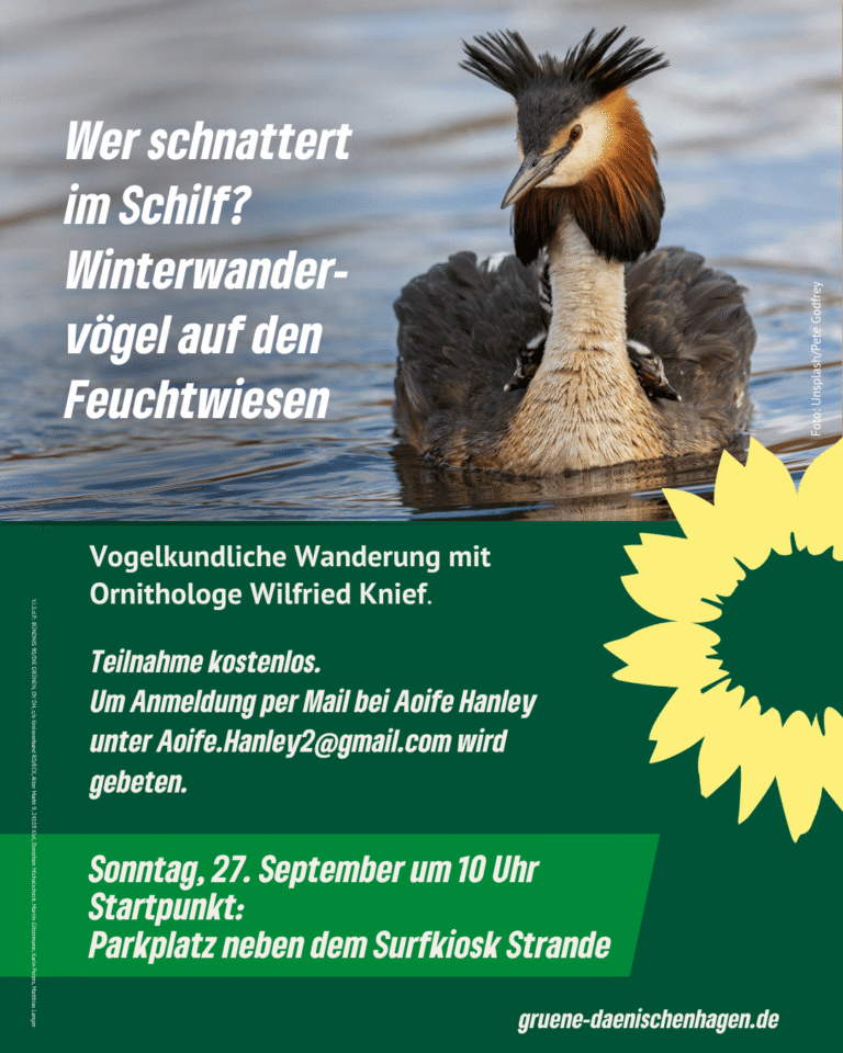 Vogelwanderung am 27.9.26